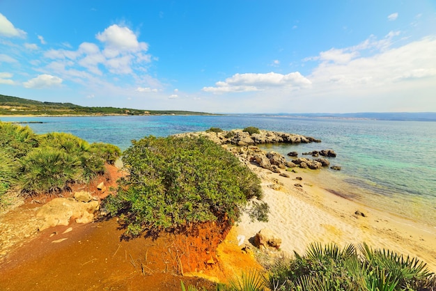 イタリアのサルデーニャ島の緑の茂みと青い海