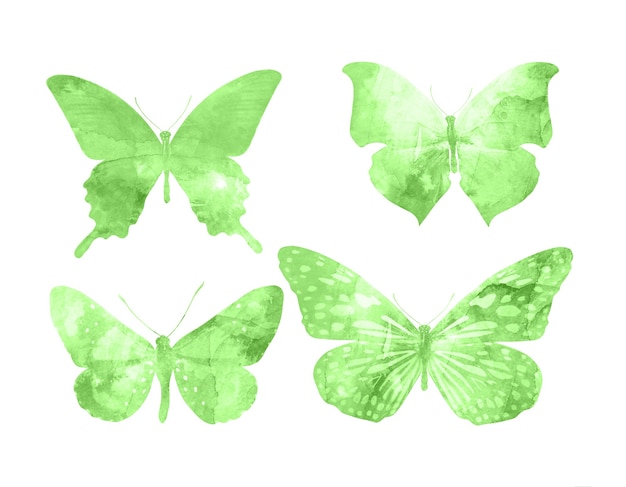 Photo green butterflies isolated on white background. tropical moths. insects for design. watercolor paints