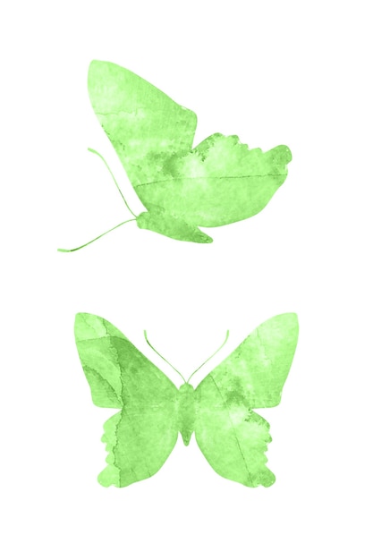 Green butterflies isolated on white background. tropical moths. insects for design. watercolor paints