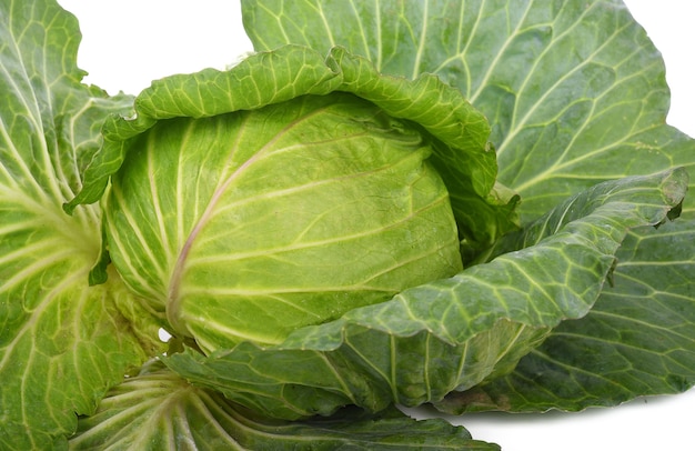 Green cabbage isolated on white background