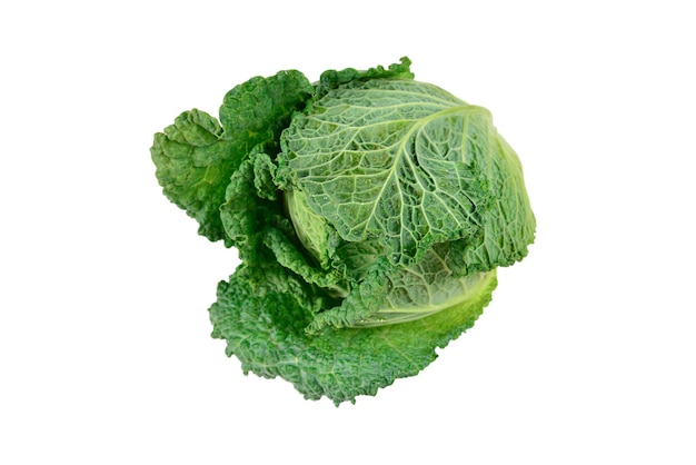 Green cabbage isolated on white