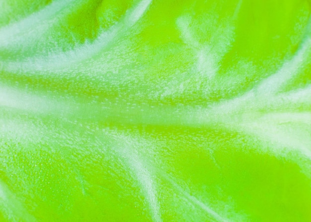 Green cabbage texture background Close up Macro photo