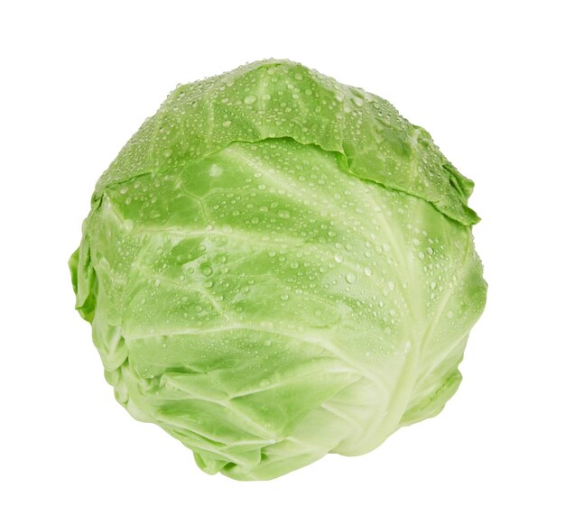 Photo green cabbage on white