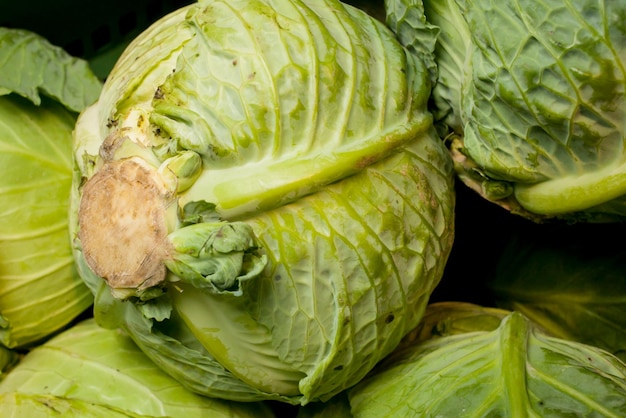 green cabbages Pile of cabbages in the market Cabbage in the market Group of Cabbages