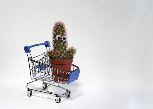 Photo a green cactus with pasted eyes in a brown pot isolated on a white background cactus stands in a miniature shopping cart