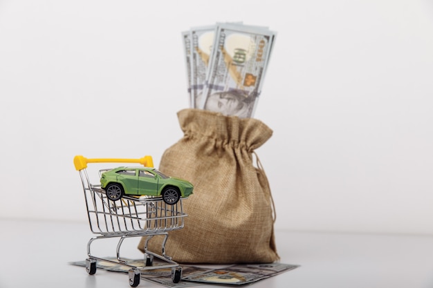 Green of car in shopping cart with money bag on white background