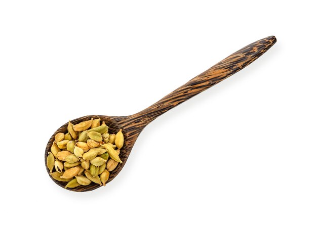 Cardamomo verde isolato in cucchiaio di legno su bianco