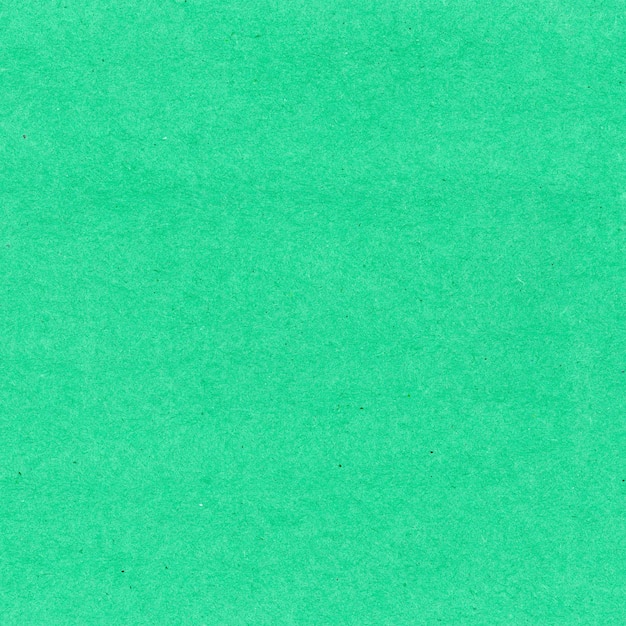 Bright Green Felt Fabric