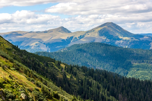 Green Carpathian mountain hills and peaks