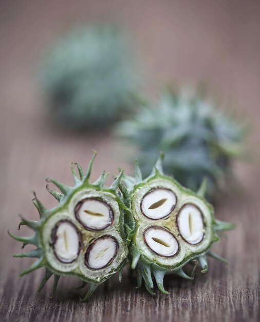 Green castor beans on wooden surface