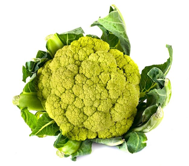 green cauliflower in studio