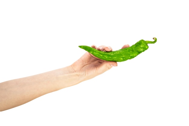 Green chili pepper in female hand isolated on white background