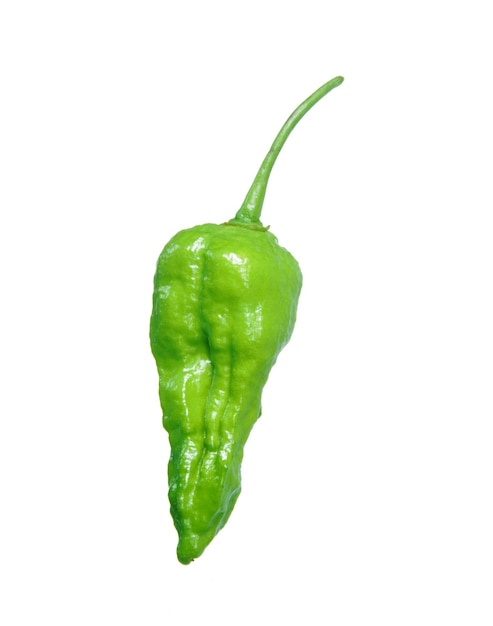 A green chili pepper