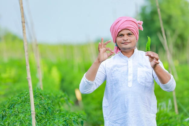 Green chilli farming