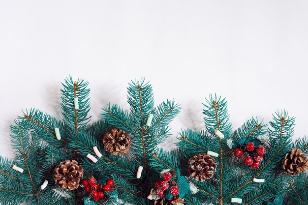 Green christmas fir tree branches with cones isolated on white background