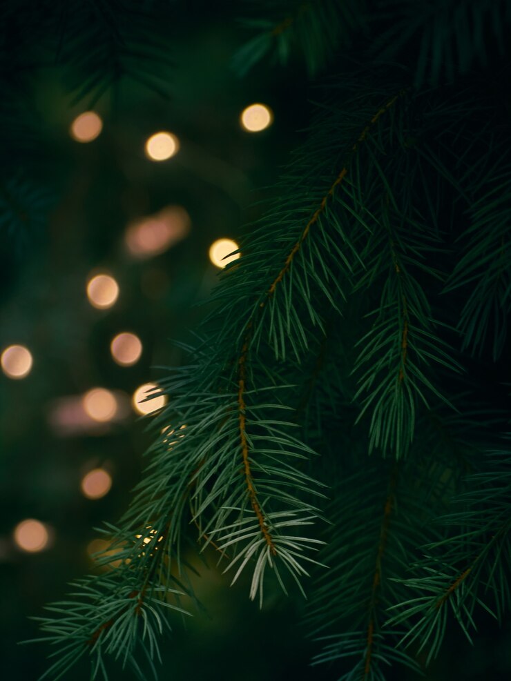 Photo green christmas tree branch and yellow lights