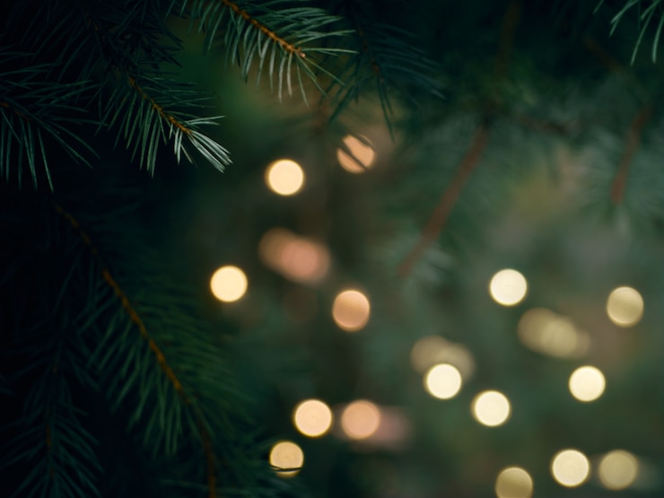 Photo green christmas tree branch and yellow lights