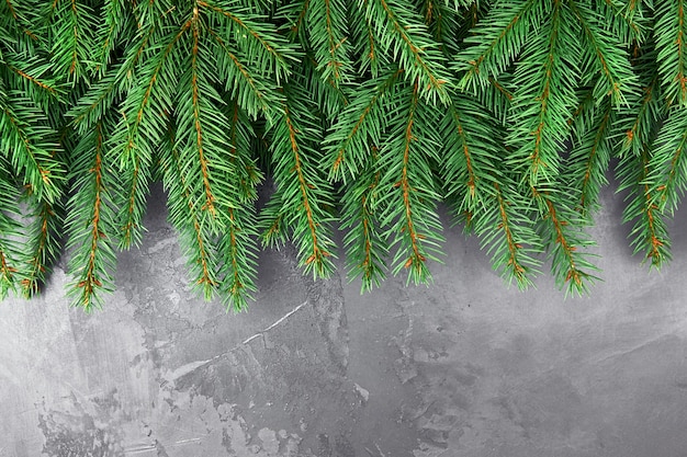 Green christmas tree branches on grey concrete surface