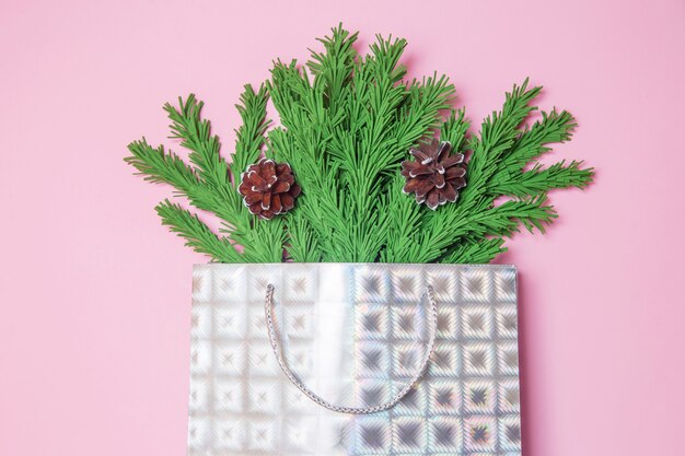 Green Christmas tree branches with cones in a gift bag