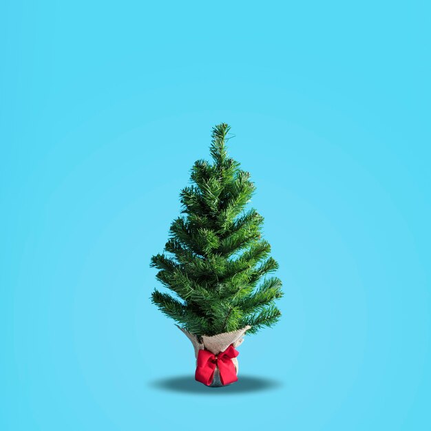 Green Christmas tree decoration on blue background. Minimal New Year concept.