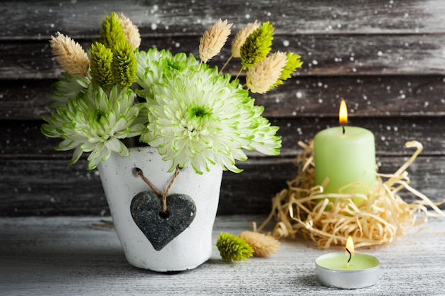 Green chrysanthemum in clay pot