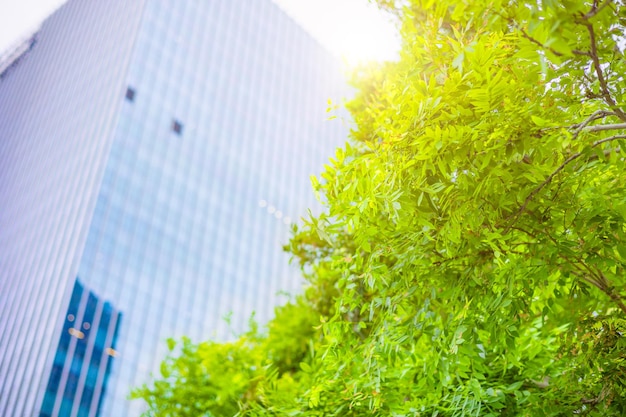 Foto edificio per uffici del cielo della metropolitana della città verde intorno con l'albero del parco verde per una buona ecologia dell'aria fresca