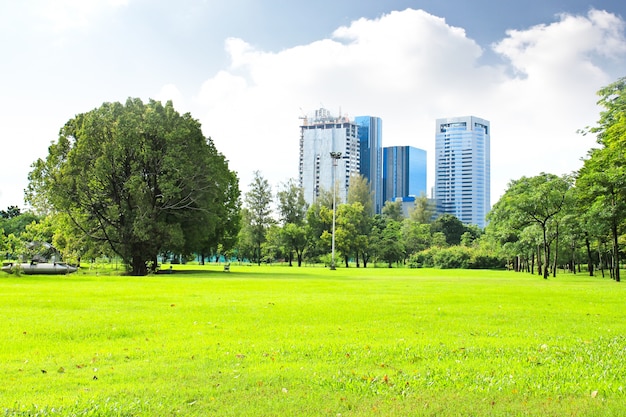 緑の都市公園