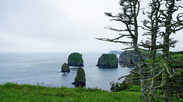 Green Cliffs and bay of Kuril islands. Shikotan.