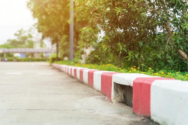 背景として通りのそばの赤と白の歩道で壁に掛かっている緑のつる性植物。