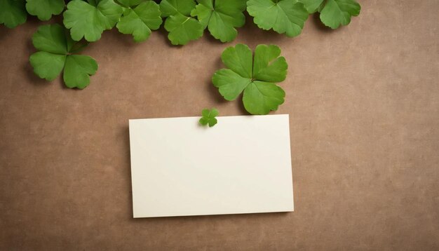 Photo green clover leaves on wooden background stpatricks day copy space beer holiday