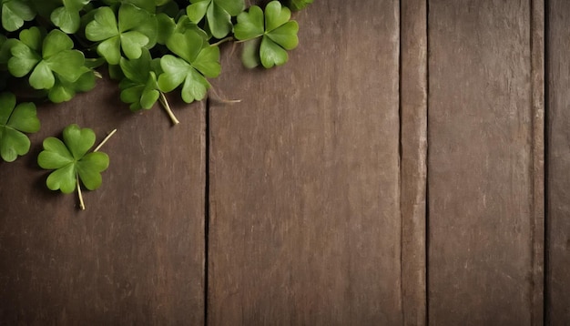 Green clover leaves on wooden background StPatricks Day Copy space Beer Holiday