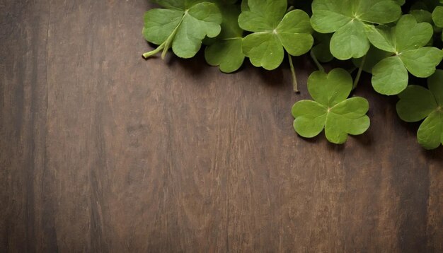 木製の背景の緑のクローバーの葉 セントパトリックの日 コピースペース ビールホリデー