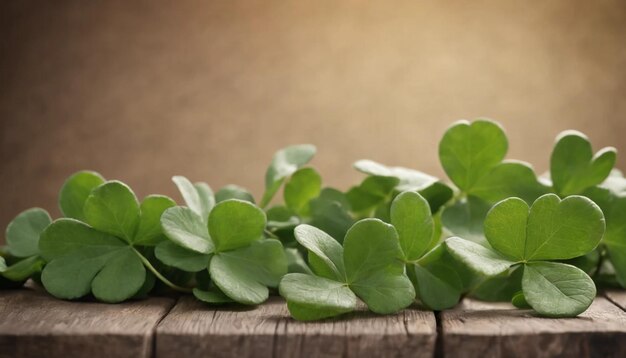 Green clover leaves on wooden background StPatricks Day Copy space Beer Holiday