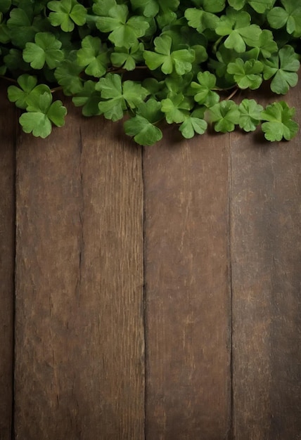 Зеленые листья клевера на деревянном фоне День Святого Патрика Копировать пространство Пиво Праздник