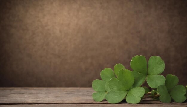 Green clover leaves on wooden background StPatricks Day Copy space Beer Holiday