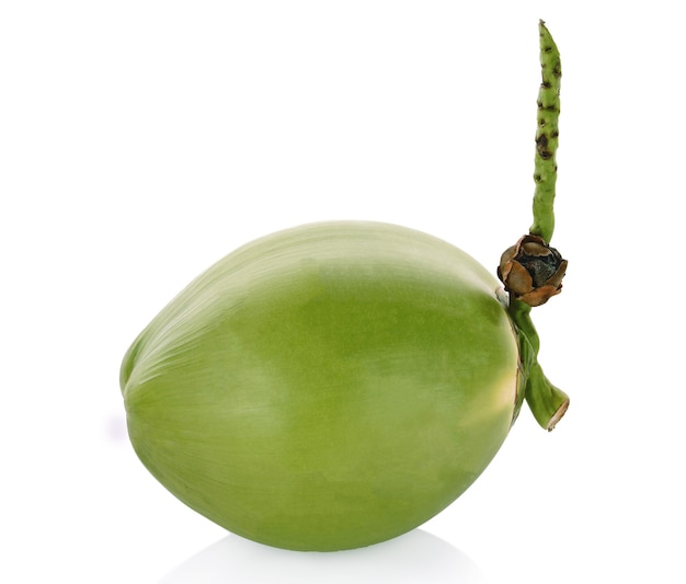 Green coconut isolated