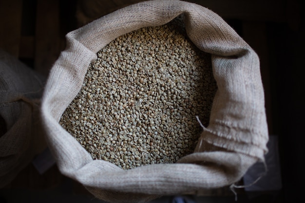 Green coffee beans in burlap sack at roaster company