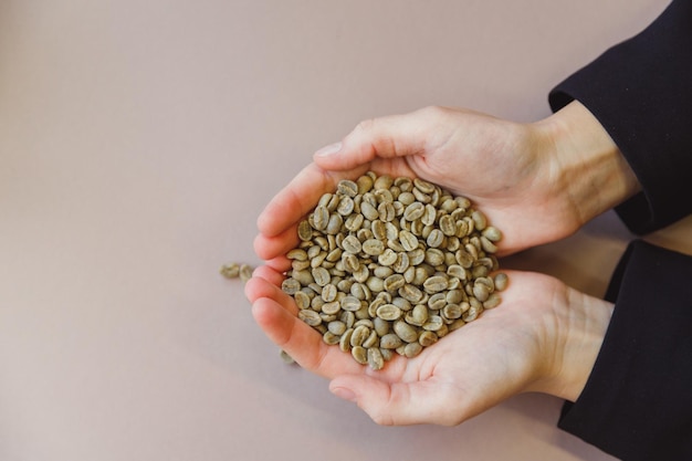 Green coffee beans in womans hands