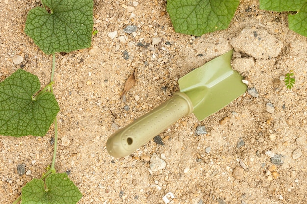 Green color shovel on the sand soil for farming slither tree in\
house garden