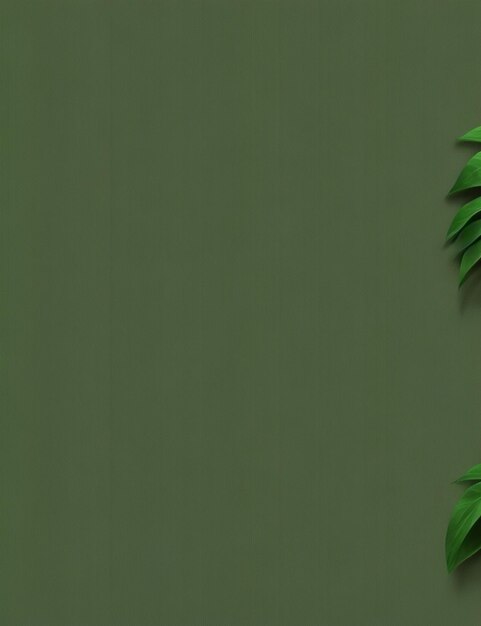 green color wall for background