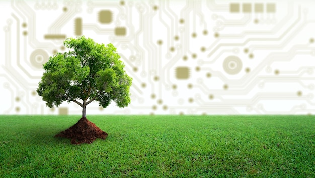 グリーンコンピューティンググリーンテクノロジーグリーンITCSRとIT倫理の概念