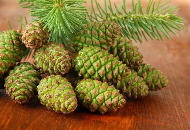 Green cones and fir tree on wooden background