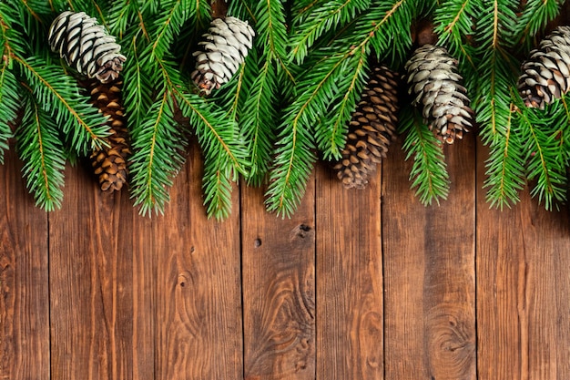 Green cones and fir tree on wooden background