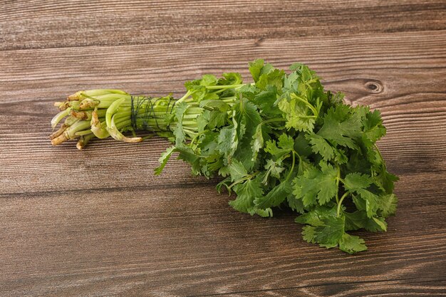 Green coriander leaves aroma heap for cooking