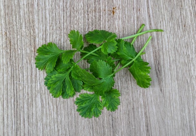 Green coriander leaves