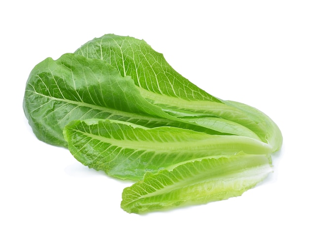 Лист салата зеленый cos на белом фоне