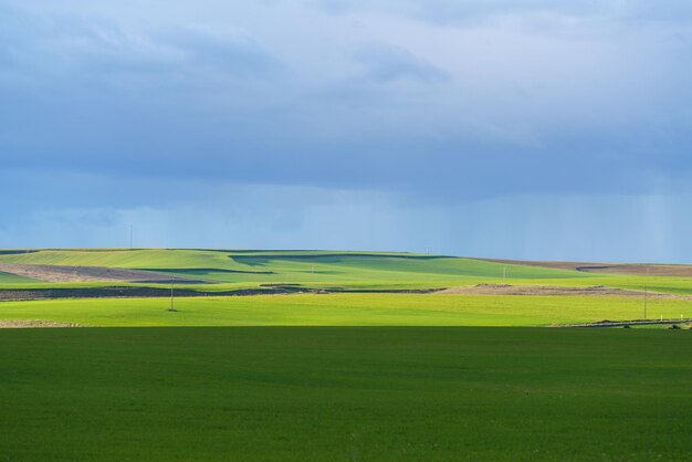 写真 春のテクスチャーと青い雨空を持つ緑の作物畑