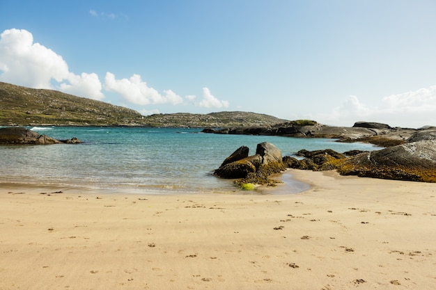 Photo green day island afternoon light bright