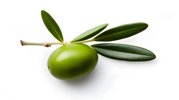 Green Delights CloseUp of Fresh Olives