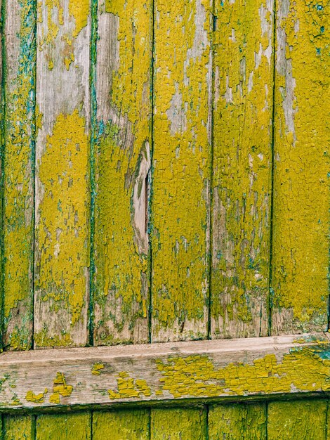 Green doors wood texture old shabby irradiated paint